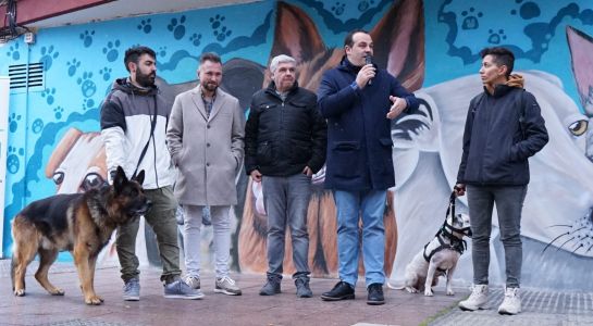 'No al abandono', nuevo mural de Rober Bece en homenaje a las mascotas