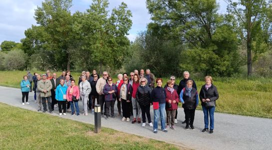 Éxito de participación en 'Primavera Activa' con más de 200 mayores inscritos en las actividades