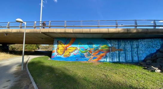 Santa Marta da a conocer la nueva ruta enmarcada en "Los puentes del arte" con un recorrido guiado por el Colectivo Bellotero