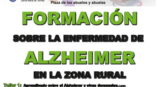 Talleres para el cuidado de enfermos de Alzheimer