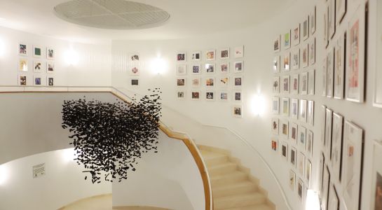 Programación para el Día Internacional de los Museos