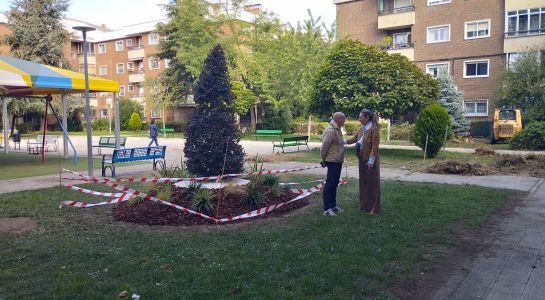 Comienza la remodelación de las zonas ajardinadas de la plaza Comuneros
