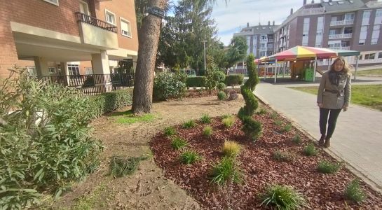 Finaliza el acondicionamiento de las zonas verdes de la plaza Comuneros