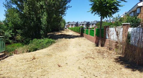 Desbroce del arroyo Requesenes a la altura de La Fontana