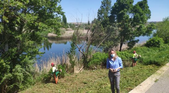 Desbroce en la margen del río para mejorar su aspecto y eliminar la maleza