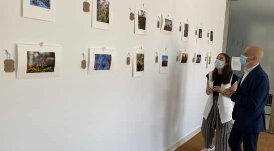 Nueva exposición de Alex Gutiérrez para la Sala Protagonistas