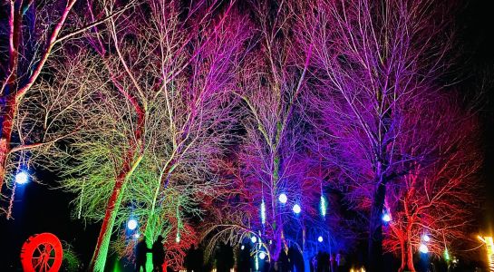 R&eacute;cord de asistencia a la Navidad de Santa Marta c on m&aacute;s de 250.000 visitas registradas