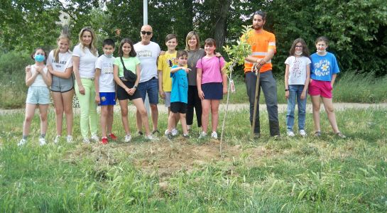 Los niños del CAI plantan 65 árboles en el Paseo Fluvial de La Fontana