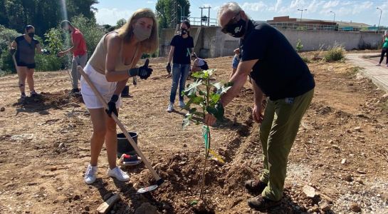 Plantación de árboles frutales en el nuevo Paseo Fluvial