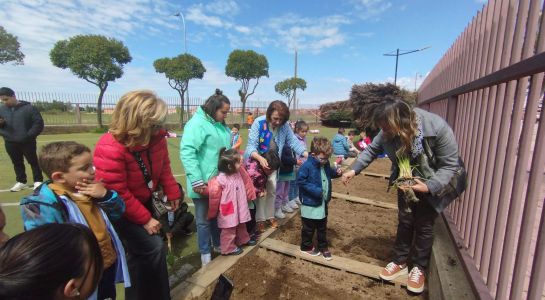 Los alumnos del Colegio Carmen Martín Gaite estrenan huerto urbano