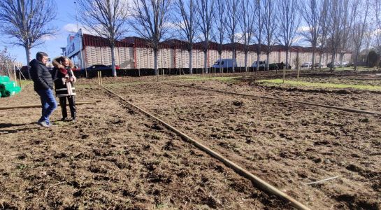 El Ayuntamiento traslada los huertos de ocio a la avenida Padres Paúles donde se habilitarán 40 parcelas