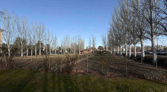 Abierto el plazo de la segunda convocatoria para solicitar los 15 huertos de ocio que todavía quedan disponibles