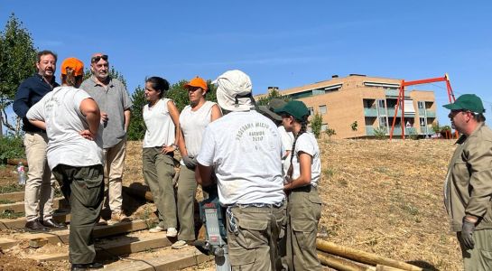 Los alumnos de la AFE en la especialidad de horticultura y jardinería acondicionan el Paseo Francisco Bernis