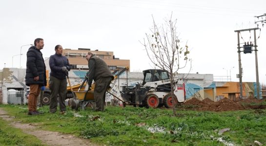 Nuevas actuaciones de mejora en el Paseo Francisco Bernis gracias a los alumnos de la AFE