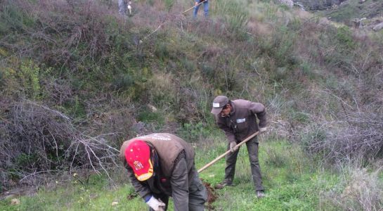 Nuevo curso de Jardinería con Certificado de Profesionalidad para desempleados 