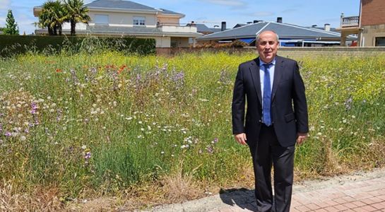 Aumenta un 50% el número de solares limpiados durante el 2025 con un total de 80 parcelas acondicionadas