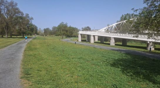 Dispositivo especial de seguridad y limpieza para el Lunes de Aguas