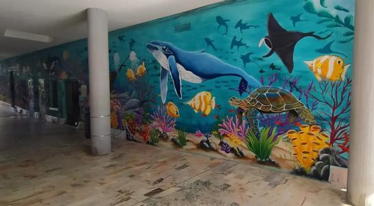 'Océano', nuevo mural de Rober Bece en el pasaje Santiago Mirat