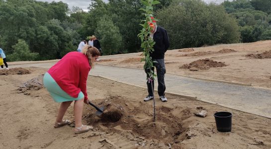 Medio centenar de vecinos participan en "¡Plántate y planta un árbol!"