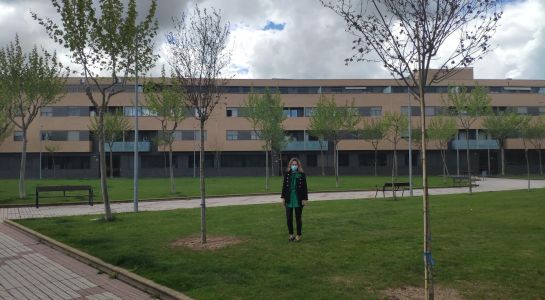 El Consistorio reforma los elementos vegetales del municipio