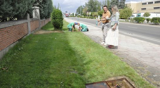 El Ayuntamiento continúa ampliando los sectores de riego en la rotonda de Las Llaves y en la avenida Padres Paúles