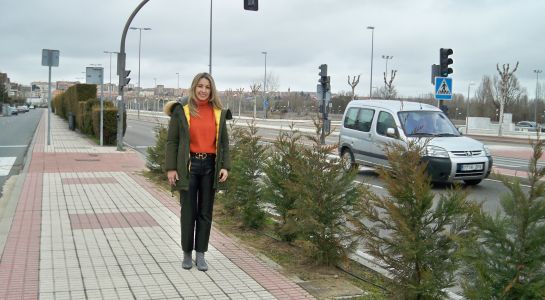 Renovación de las zonas verdes en la avenida de la Serna