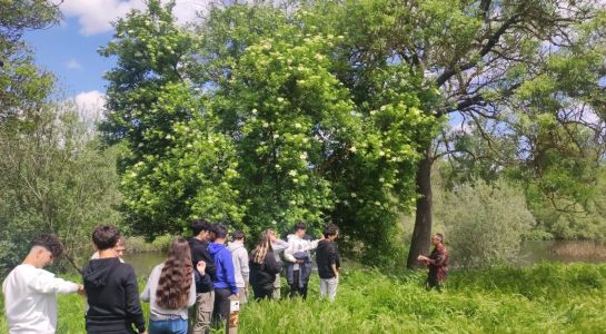 El Calisto y Melibea participa en un proyecto europeo de desarrollo sostenible en colaboración con un instituto alemán