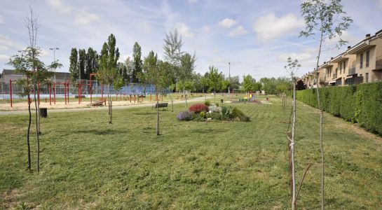 Acondicionamiento de ocho zonas verdes de Santa Marta gracias a los alumnos de la Afe de horticultura y  jardinería