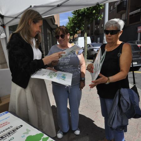 Campaña 8