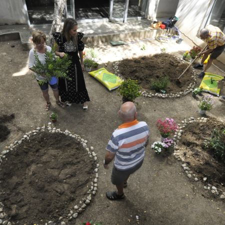 Jardín 3